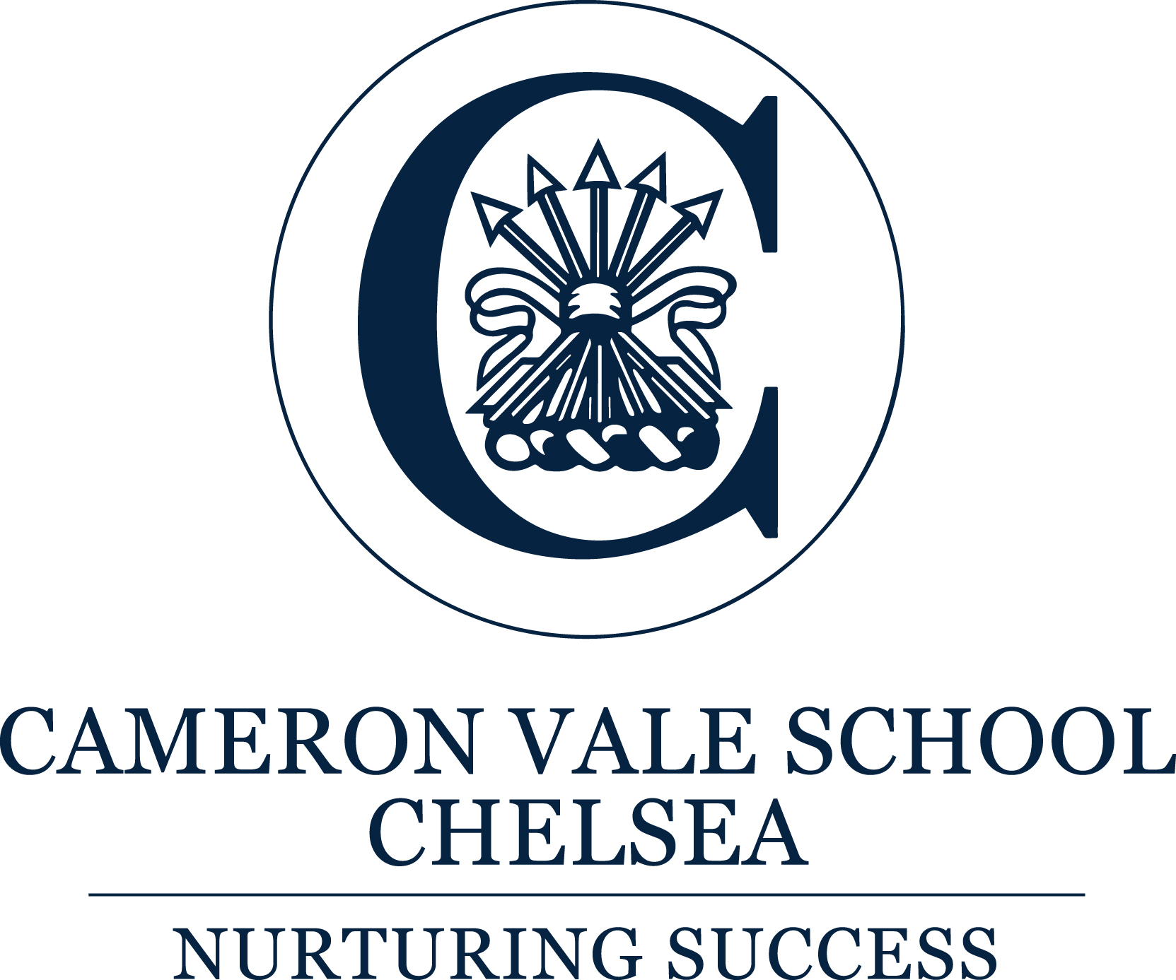 Cameron Vale School Logo
